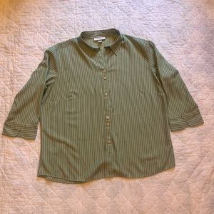 Dressbarn Blouse (18/20W)